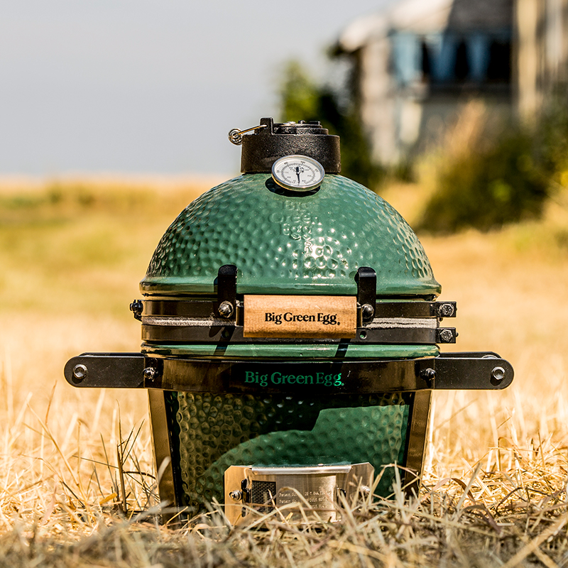 Big green egg mini hotsell